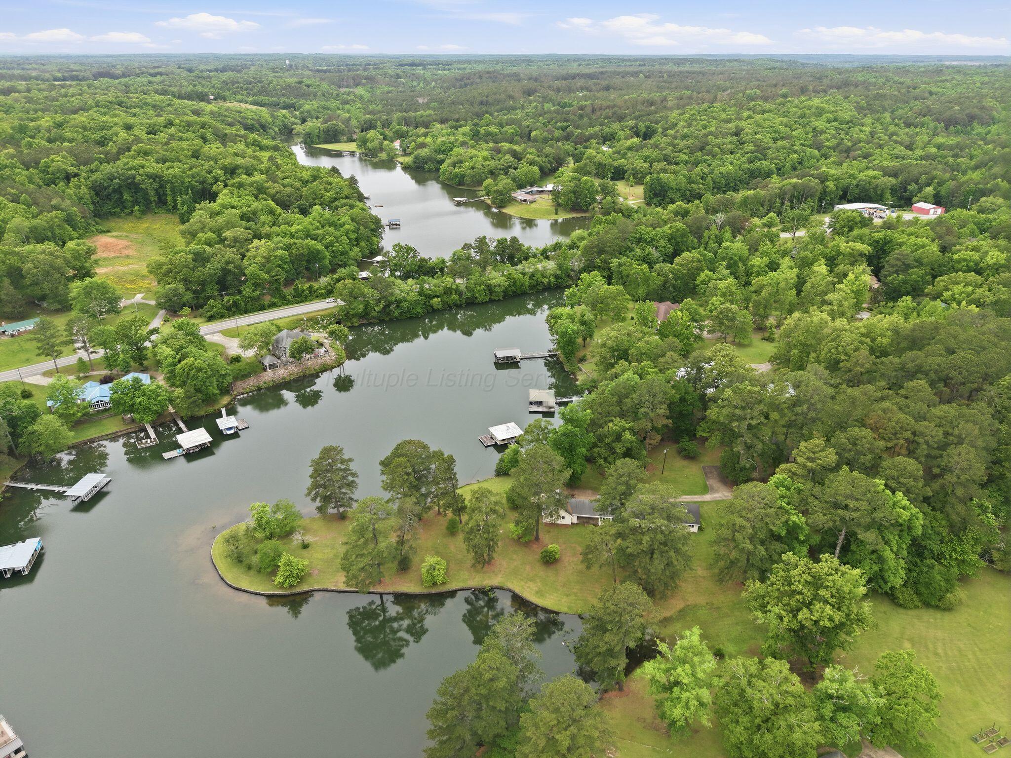 140 Burtwood Acres Road Jasper, AL 35503 - Photo 40 of 45 Aerial