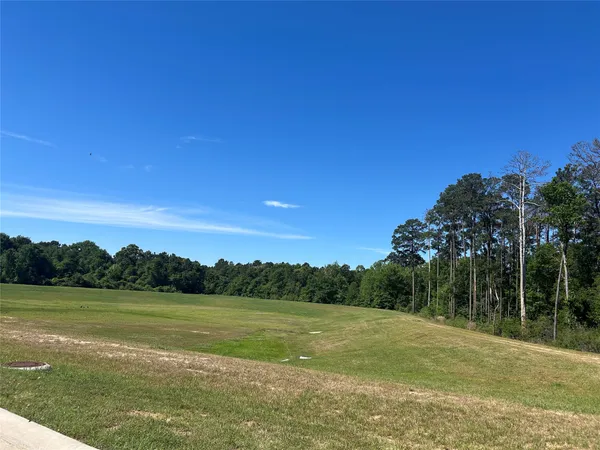 $375,000 | 9985 Mountain Lion Lane, Magnolia, TX 77354