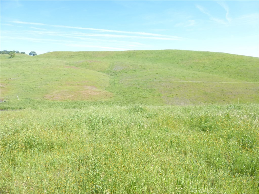 0 Douglas Road San Miguel, CA 93451 - Photo 44 of 44