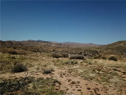 a view of mountain in middle of forest