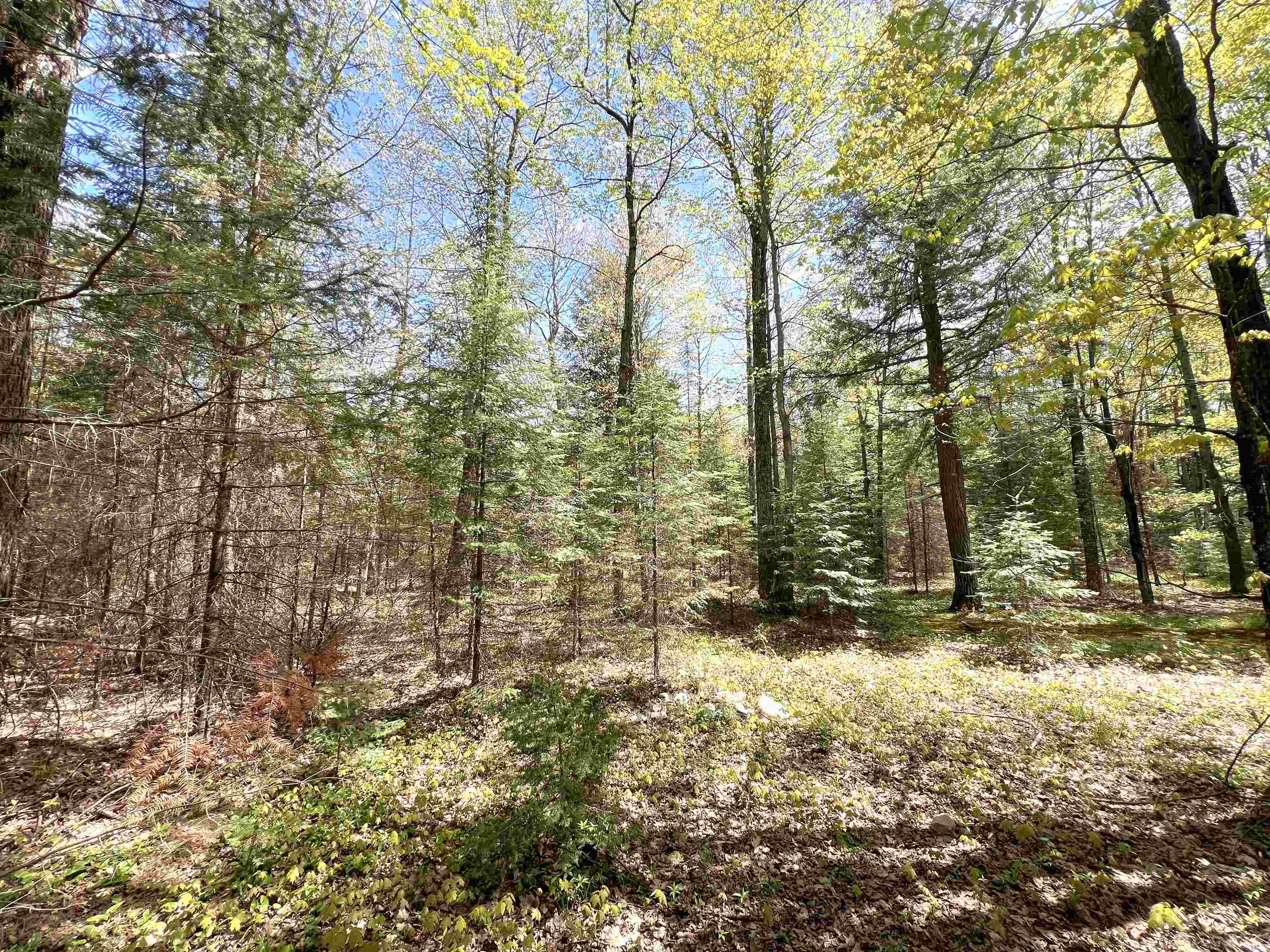 5675 Spider Lake Road Rhinelander, WI 54501 - Photo 56 of 68