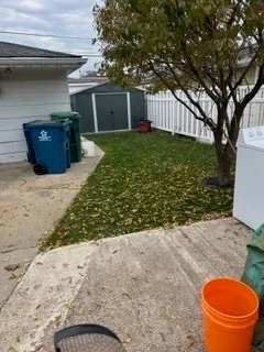 a view of backyard of house