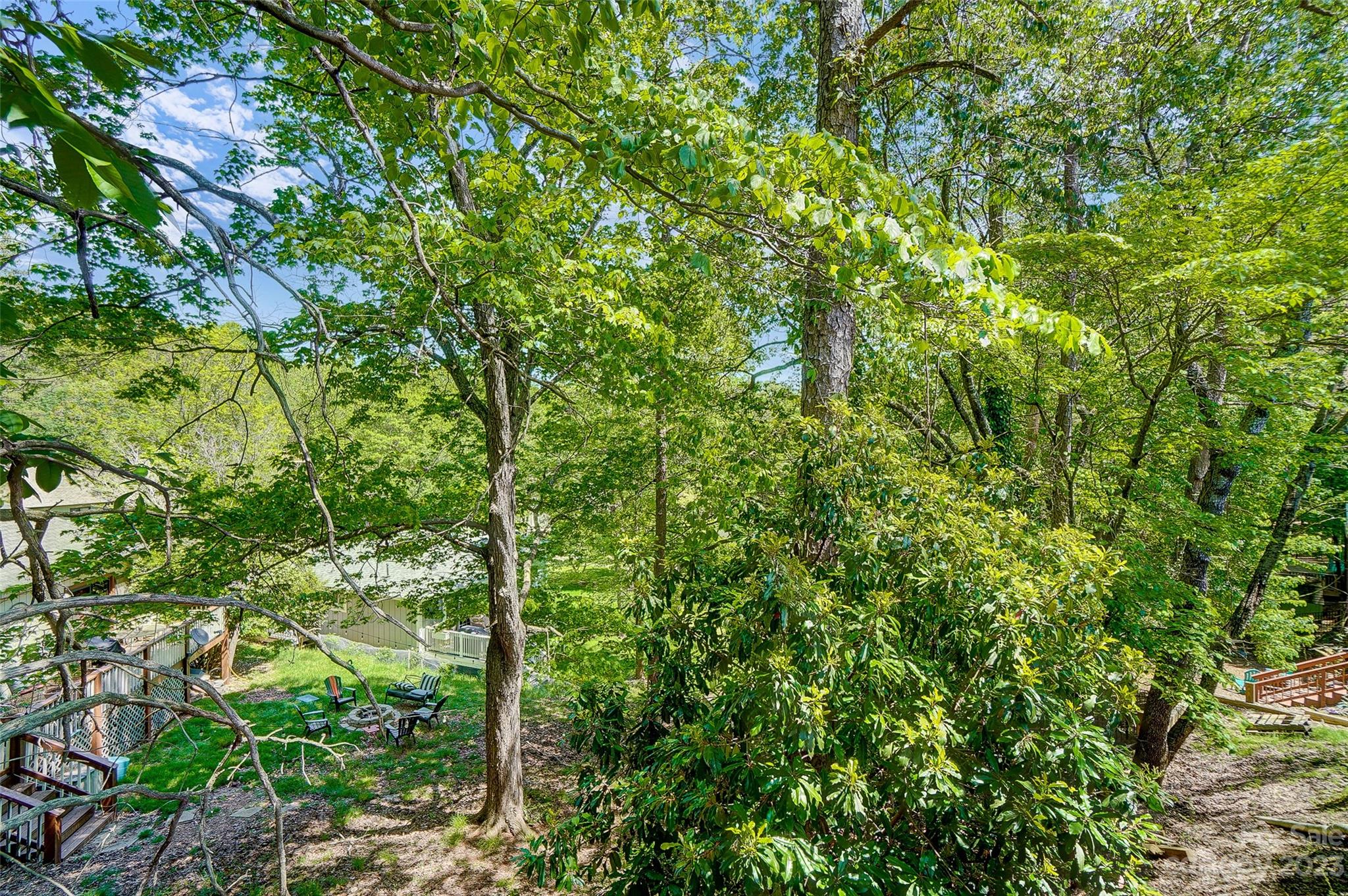1205 Molokai Drive Tega Cay, SC 29708 - Photo 32 of 32 a view of a lush green forest