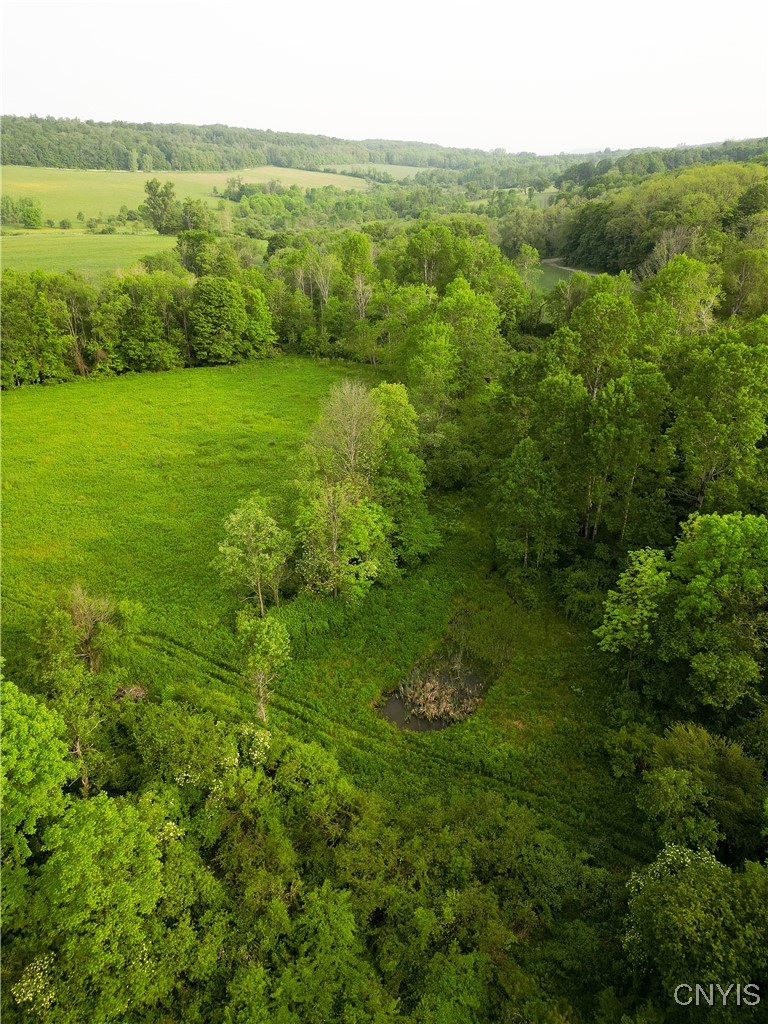 Searls Road Cortland, NY 13045 - Photo 1 of 12 View of the entire property including the pond and