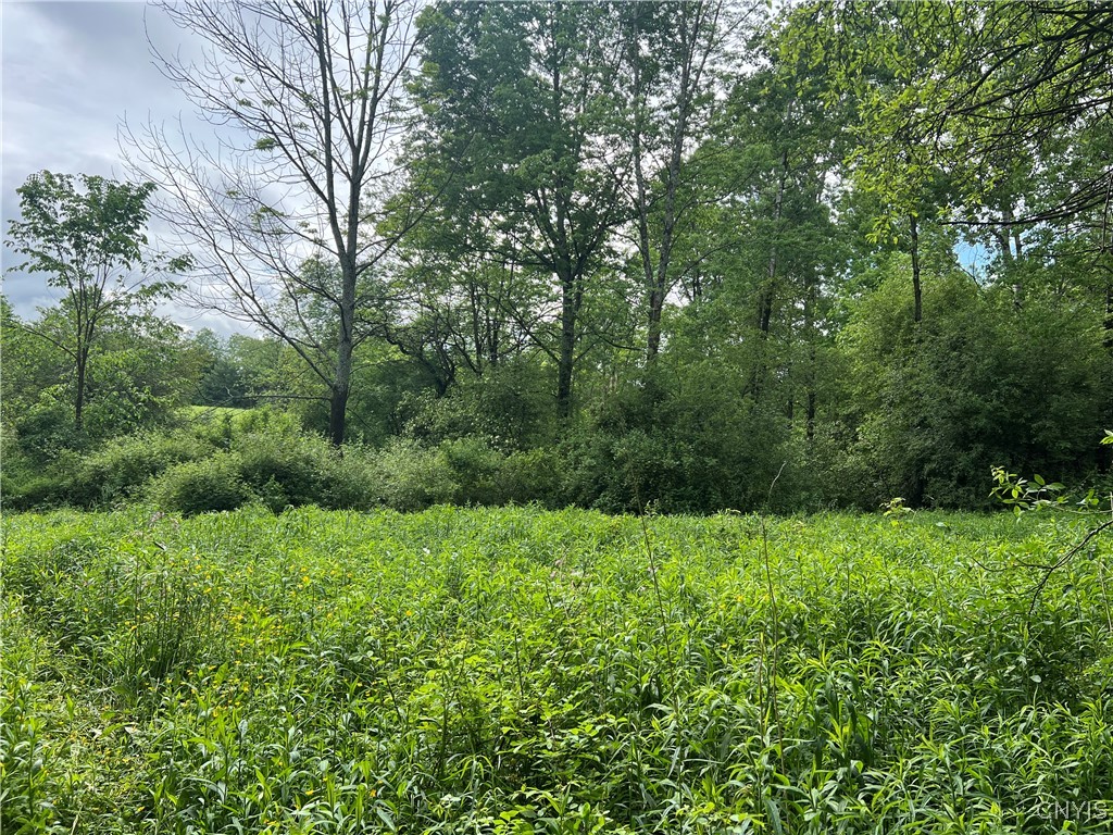 Searls Road Cortland, NY 13045 - Photo 11 of 12