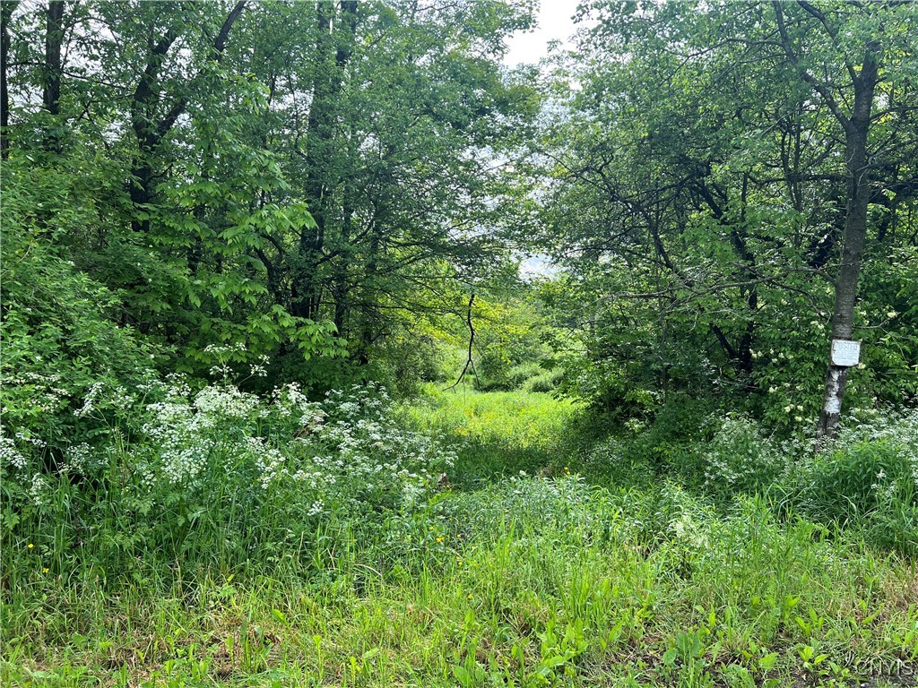 Searls Road Cortland, NY 13045 - Photo 12 of 12