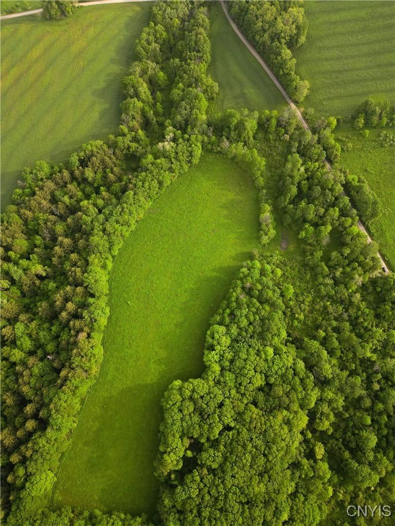 Searls Road Cortland, NY 13045 - Photo 4 of 12