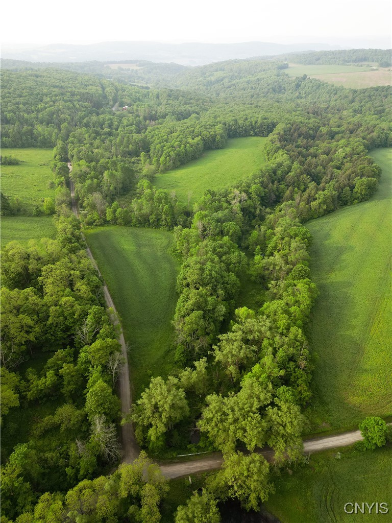 Searls Road Cortland, NY 13045 - Photo 5 of 12