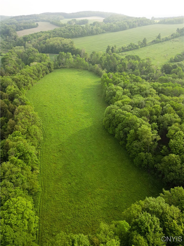 Searls Road Cortland, NY 13045 - Photo 6 of 12