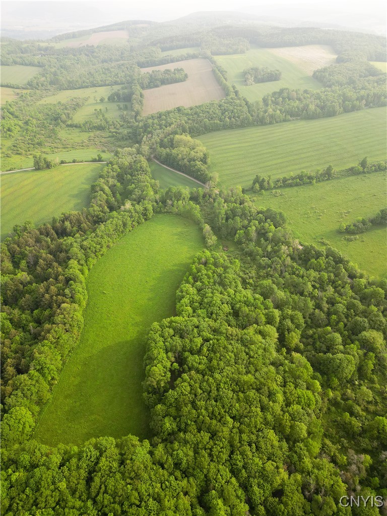 Searls Road Cortland, NY 13045 - Photo 7 of 12