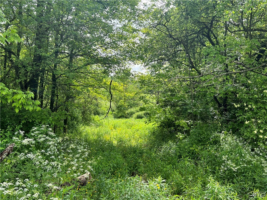 Searls Road Cortland, NY 13045 - Photo 8 of 12 view from the road