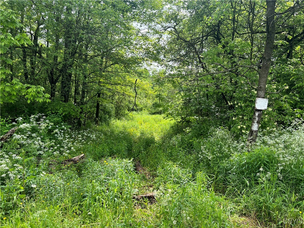 Searls Road Cortland, NY 13045 - Photo 9 of 12 entrance to the land