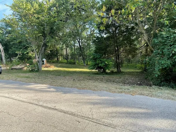 a view of a yard with a trees