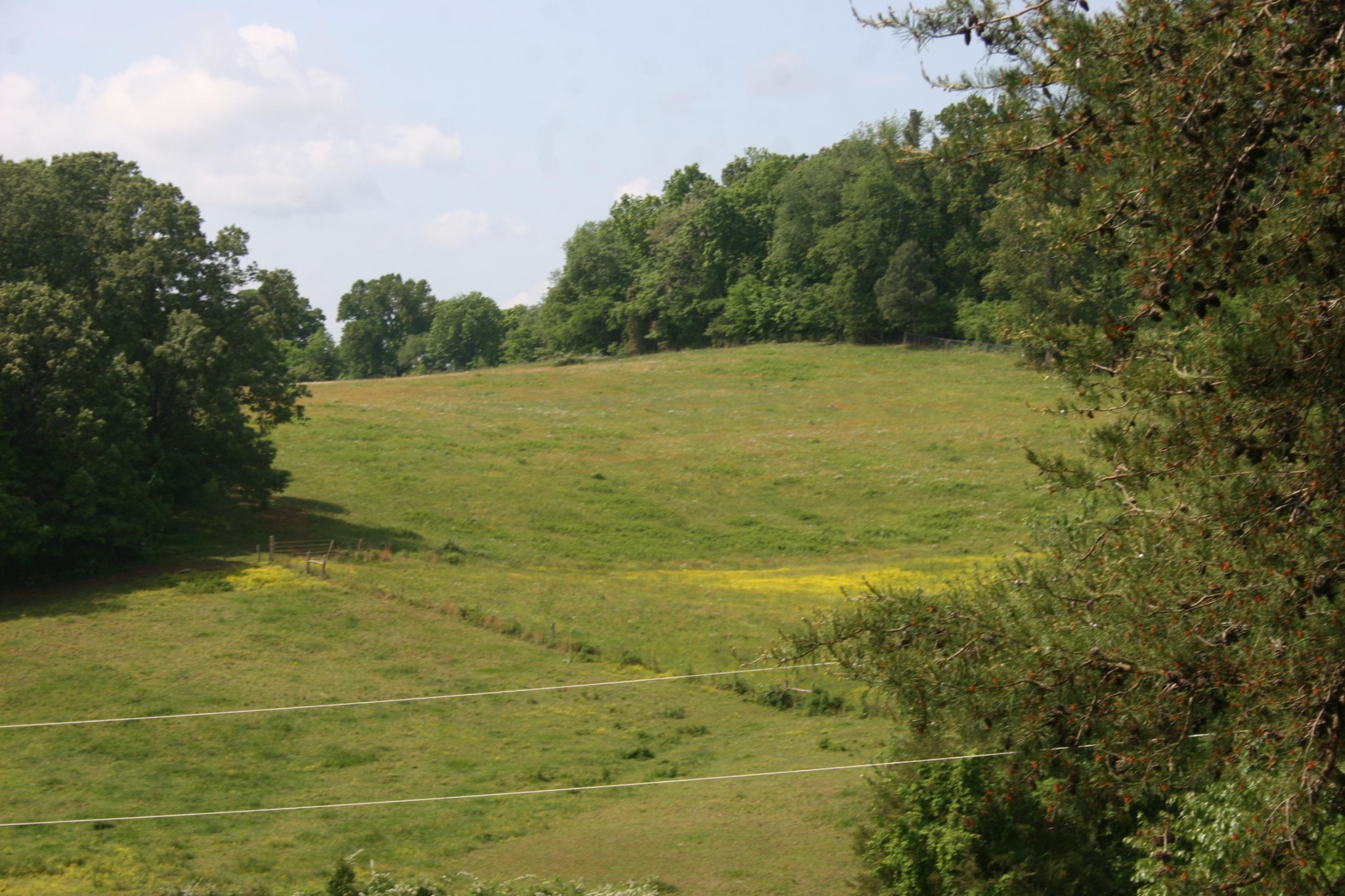 2815 Kiser Road Philadelphia, TN 37846 - Photo 22 of 32 Gallery Image 22