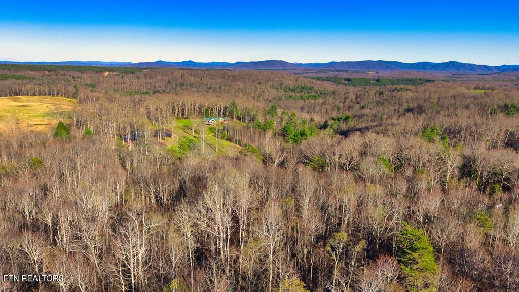 37.28-ac Ervin Brown Road Sunbright, TN 37872 - Photo 3 of 6 243468_3
