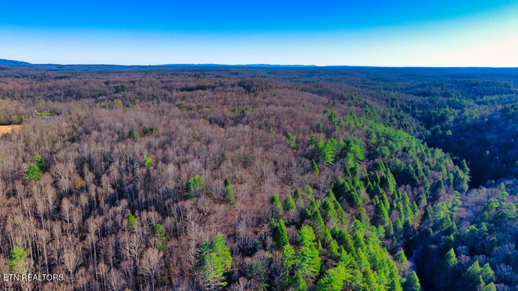 37.28-ac Ervin Brown Road Sunbright, TN 37872 - Photo 6 of 6 243468_7