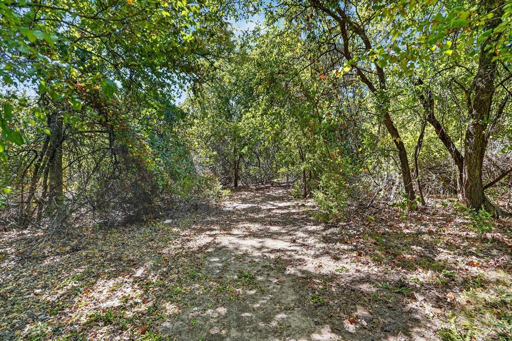 130 R And R Drive Springtown, TX 76082 - Photo 34 of 40 Wooded lot with mature trees and natural foliage