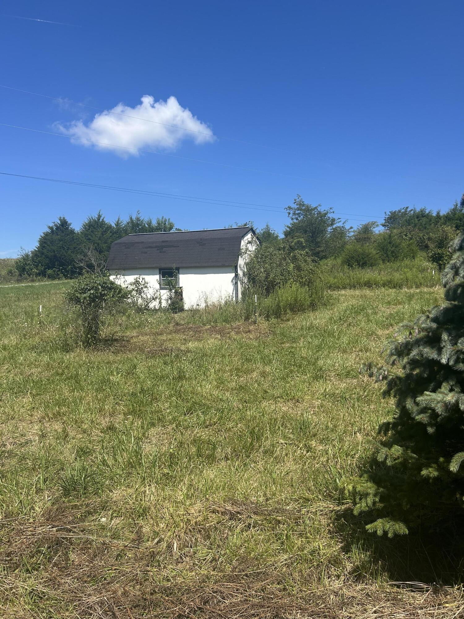 153 Snow Road Cynthiana, KY 41031 - Photo 8 of 12 IMG_9812
