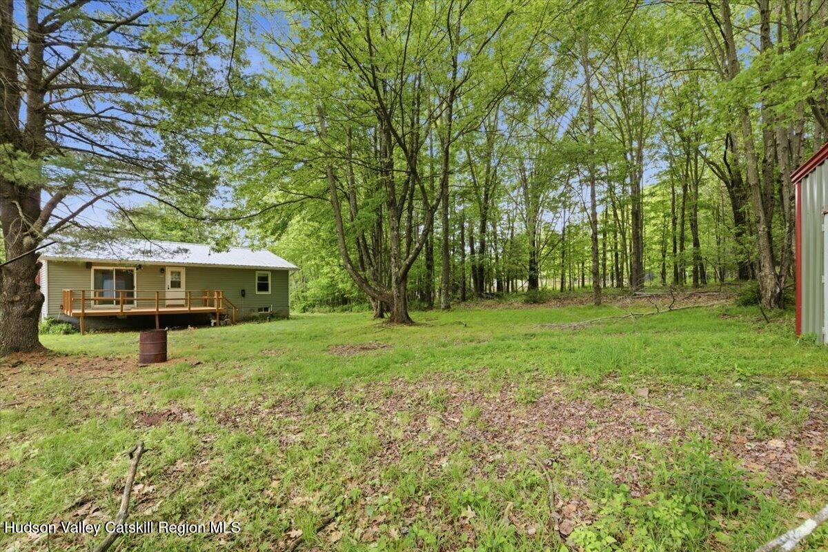 125 Reme Road Prattsville, NY 12468 - Photo 28 of 35 29-Back of House