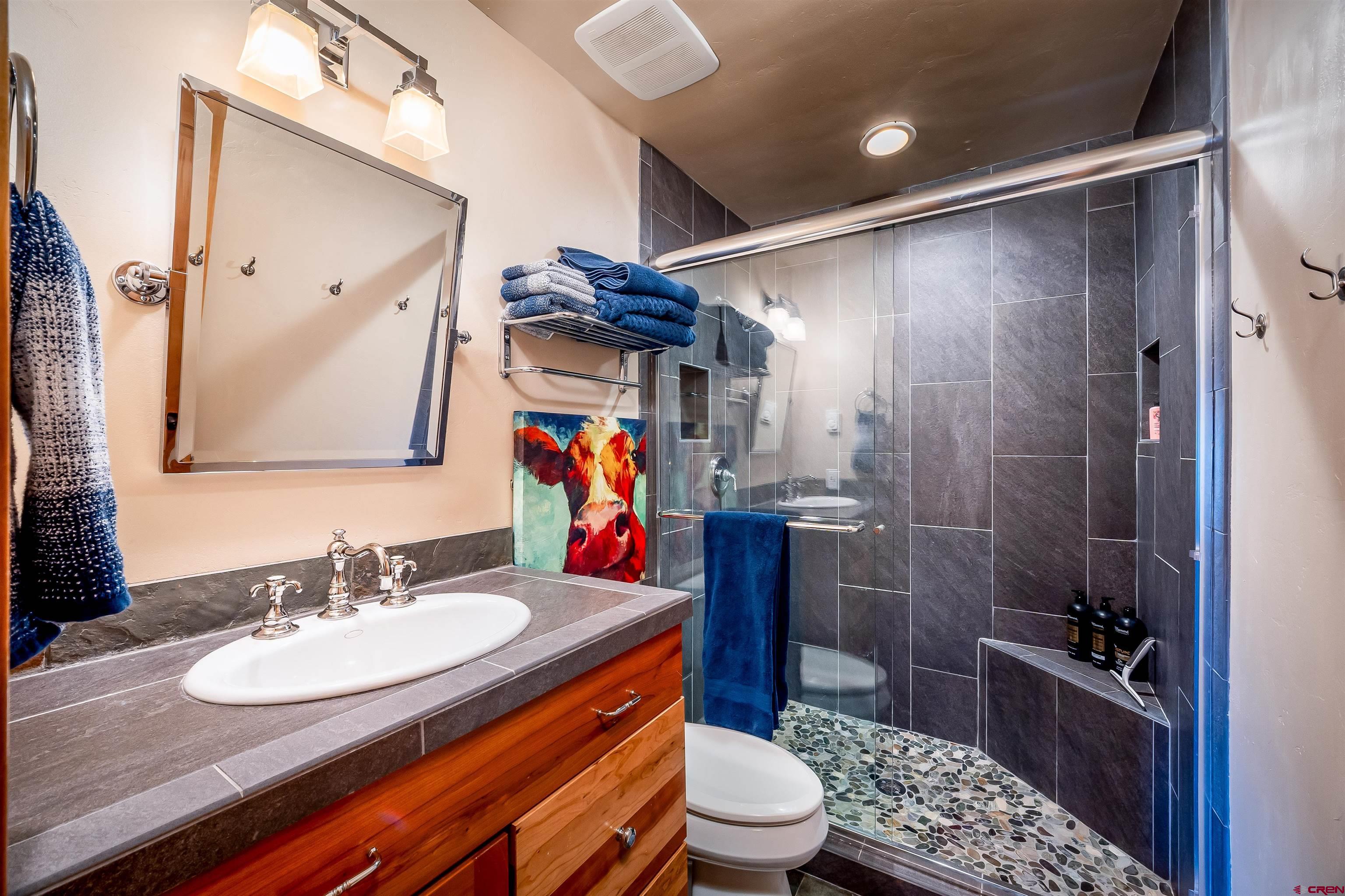 455 Sheol Street, Unit 320 Durango, CO 81301 - Photo 12 of 42 a bathroom with a sink a toilet and shower