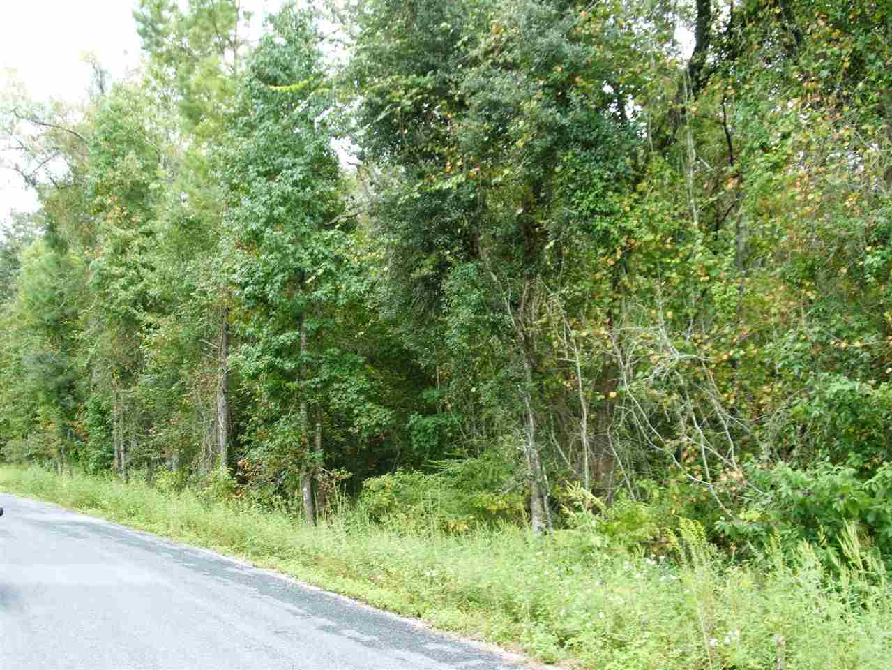 1-xx Pineview Road, Unit NONE Monticello, FL 32344 - Photo 4 of 5 Gallery Image 4