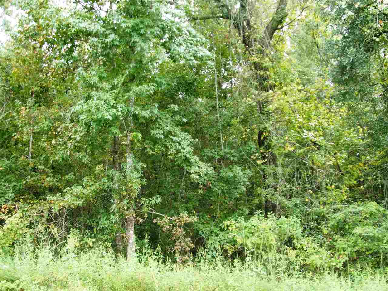 1-xx Pineview Road, Unit NONE Monticello, FL 32344 - Photo 5 of 5 Gallery Image 5