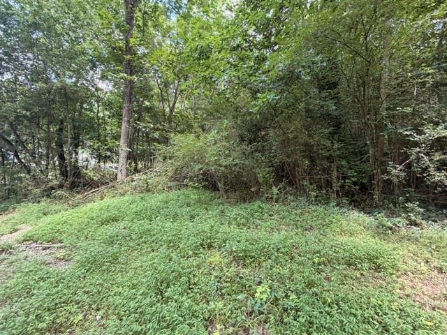 280 Nixon Road Summerville, GA 30747 - Photo 2 of 5