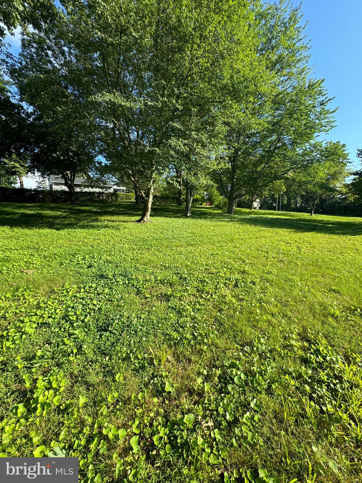 Wayland Road Culpeper, VA 22701 - Photo 1 of 3 Gallery Image 1