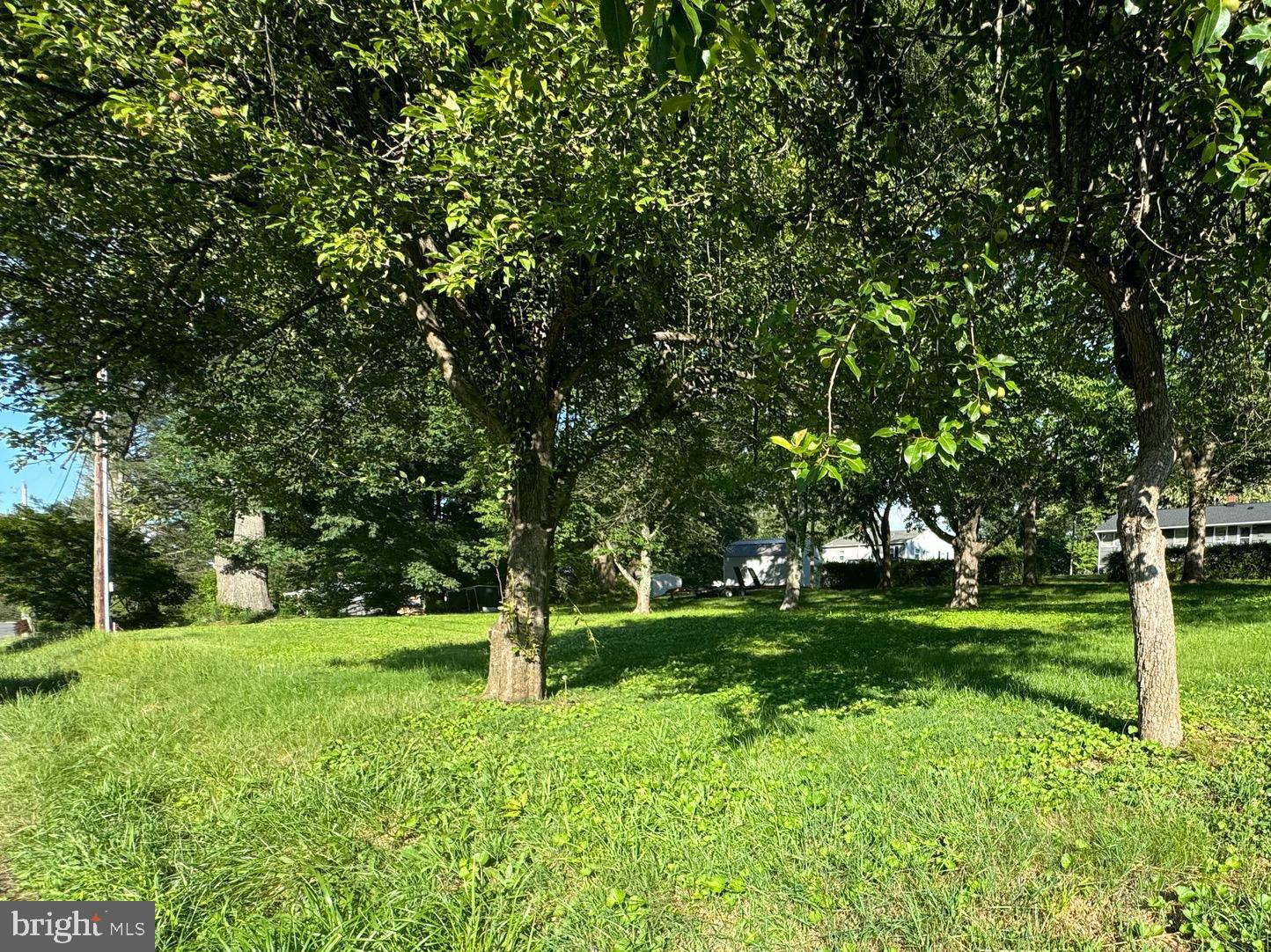 Wayland Road Culpeper, VA 22701 - Photo 3 of 3 Gallery Image 3