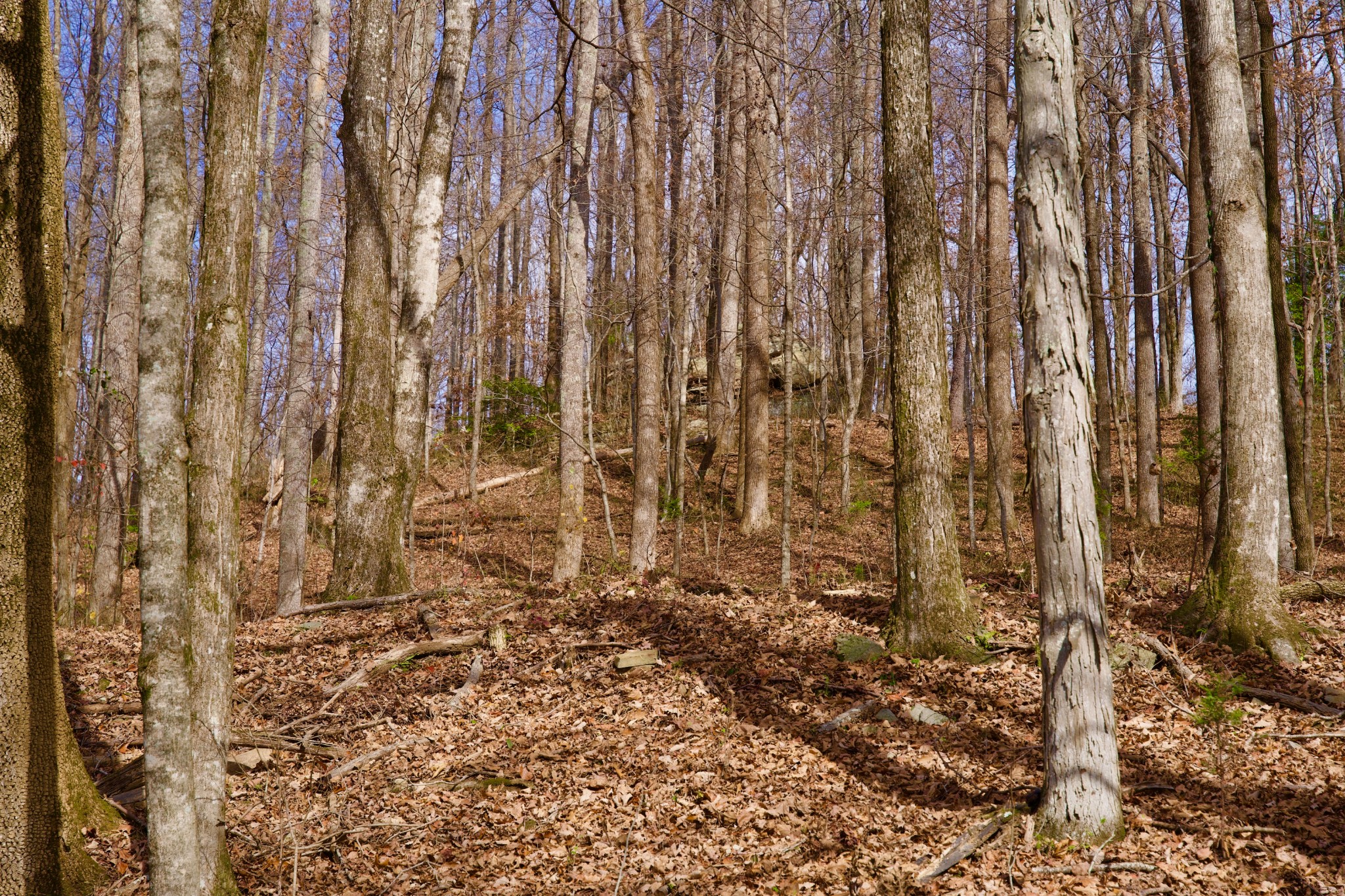 323 A White Oak Flatt Road Sparta, TN 38583 - Photo 11 of 45