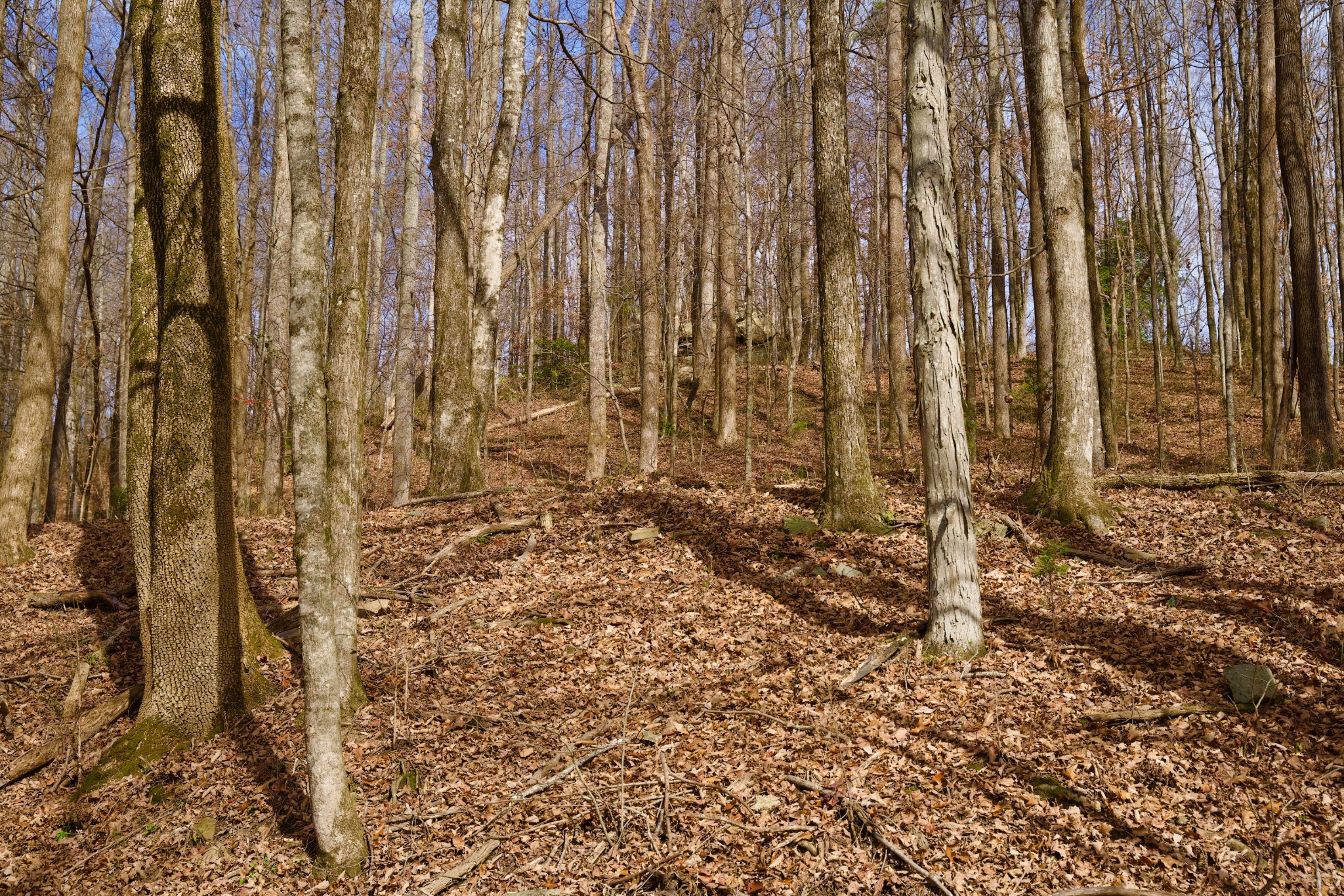 323 A White Oak Flatt Road Sparta, TN 38583 - Photo 12 of 45