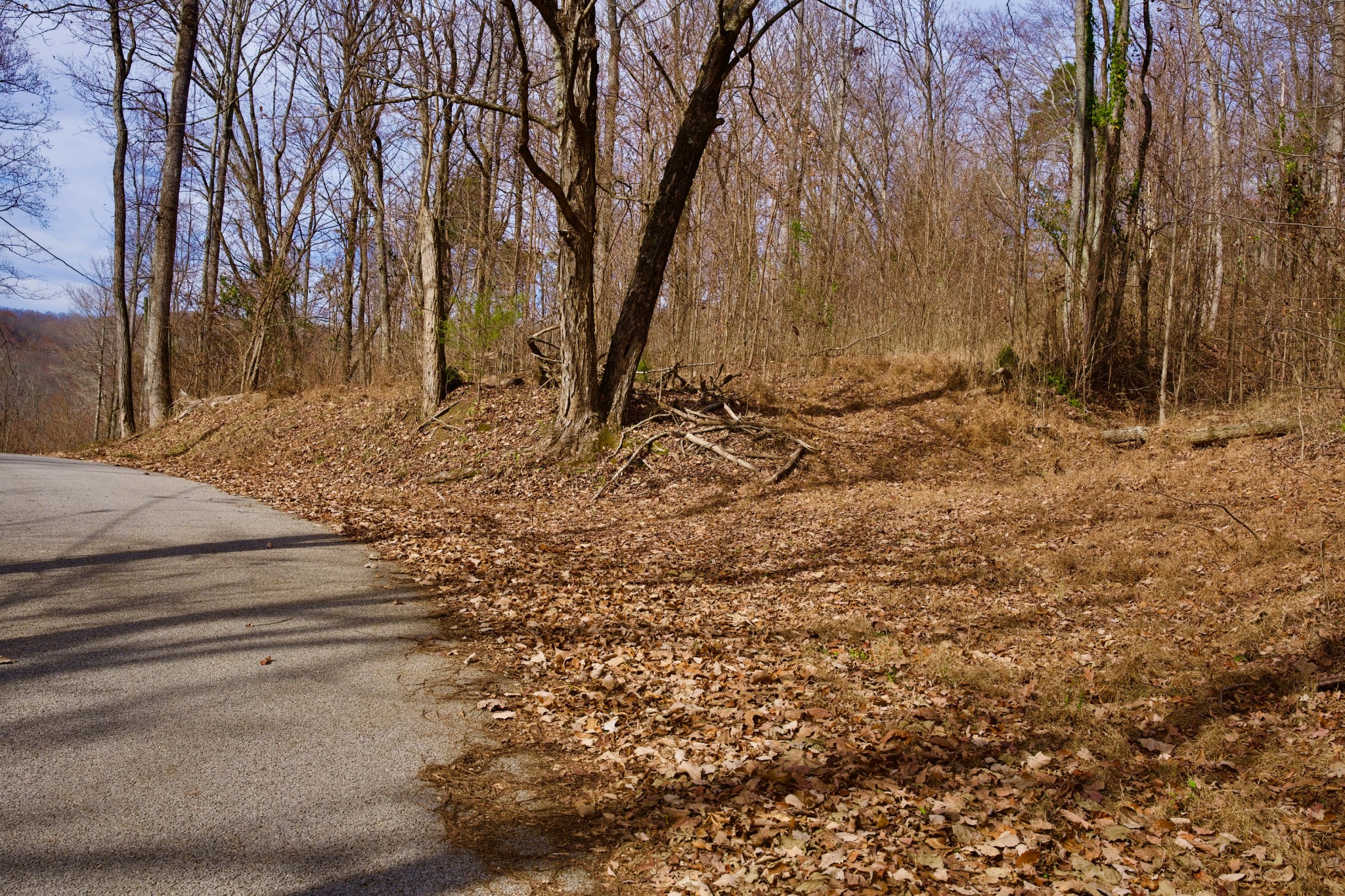 323 A White Oak Flatt Road Sparta, TN 38583 - Photo 13 of 45 a backyard of a house with lots of green space