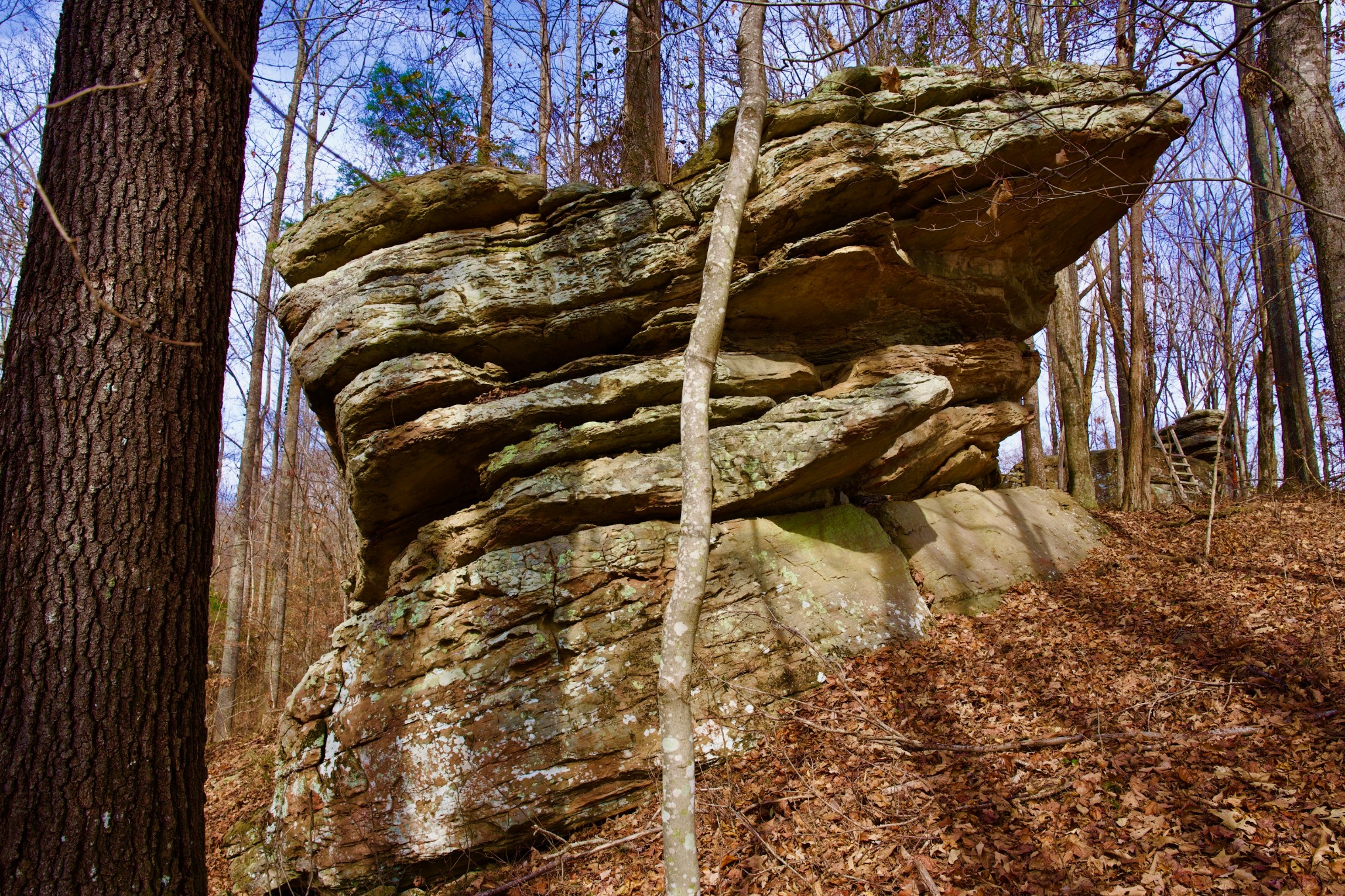 323 A White Oak Flatt Road Sparta, TN 38583 - Photo 14 of 45 a view of an outdoor space