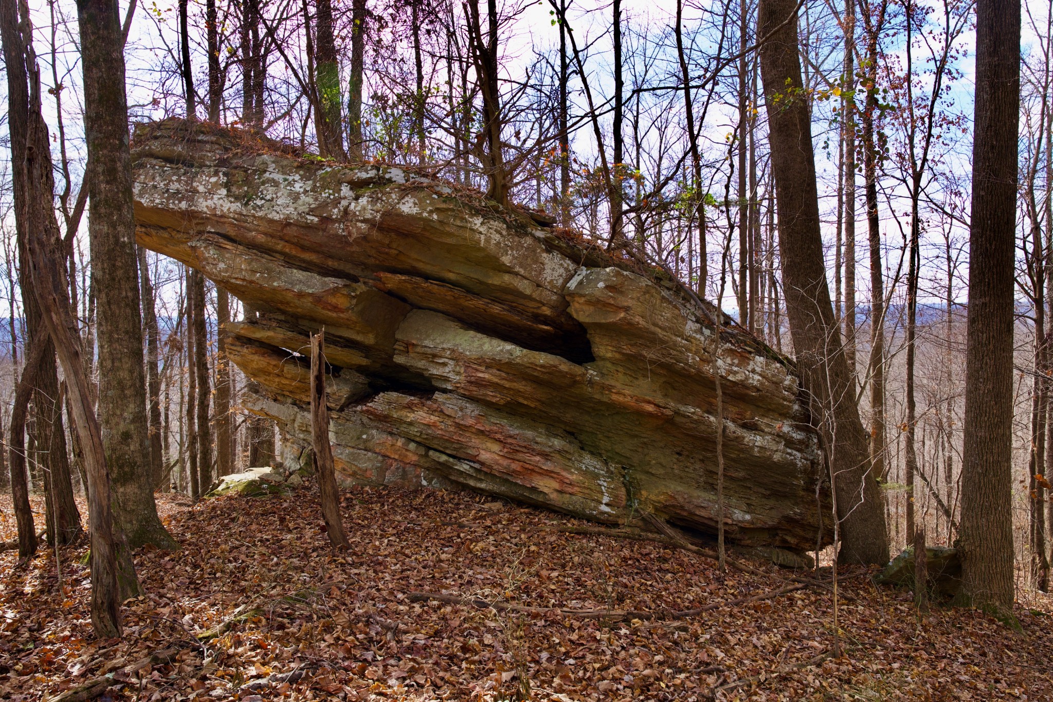 323 A White Oak Flatt Road Sparta, TN 38583 - Photo 15 of 45 a backyard of a house with lots of green space