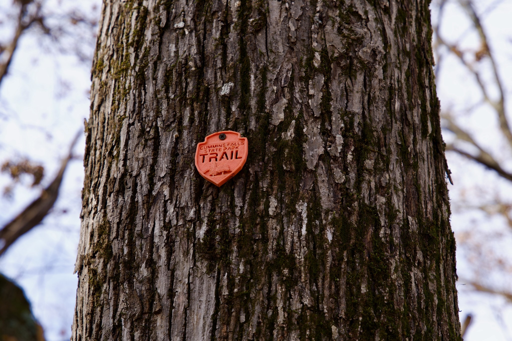 323 A White Oak Flatt Road Sparta, TN 38583 - Photo 21 of 45