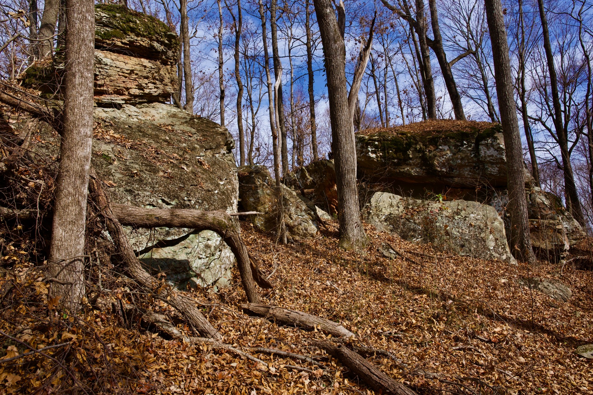 323 A White Oak Flatt Road Sparta, TN 38583 - Photo 22 of 45 a view of a yard