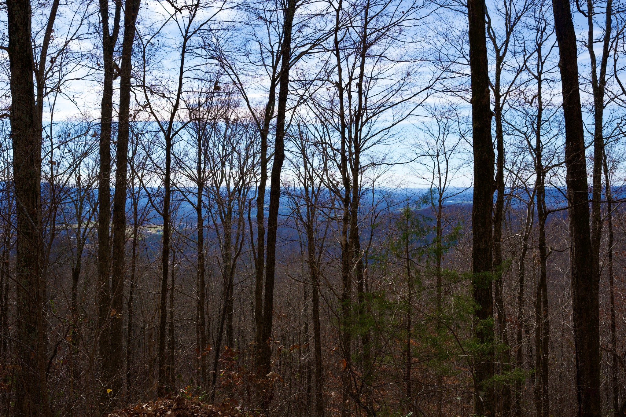 323 A White Oak Flatt Road Sparta, TN 38583 - Photo 25 of 45