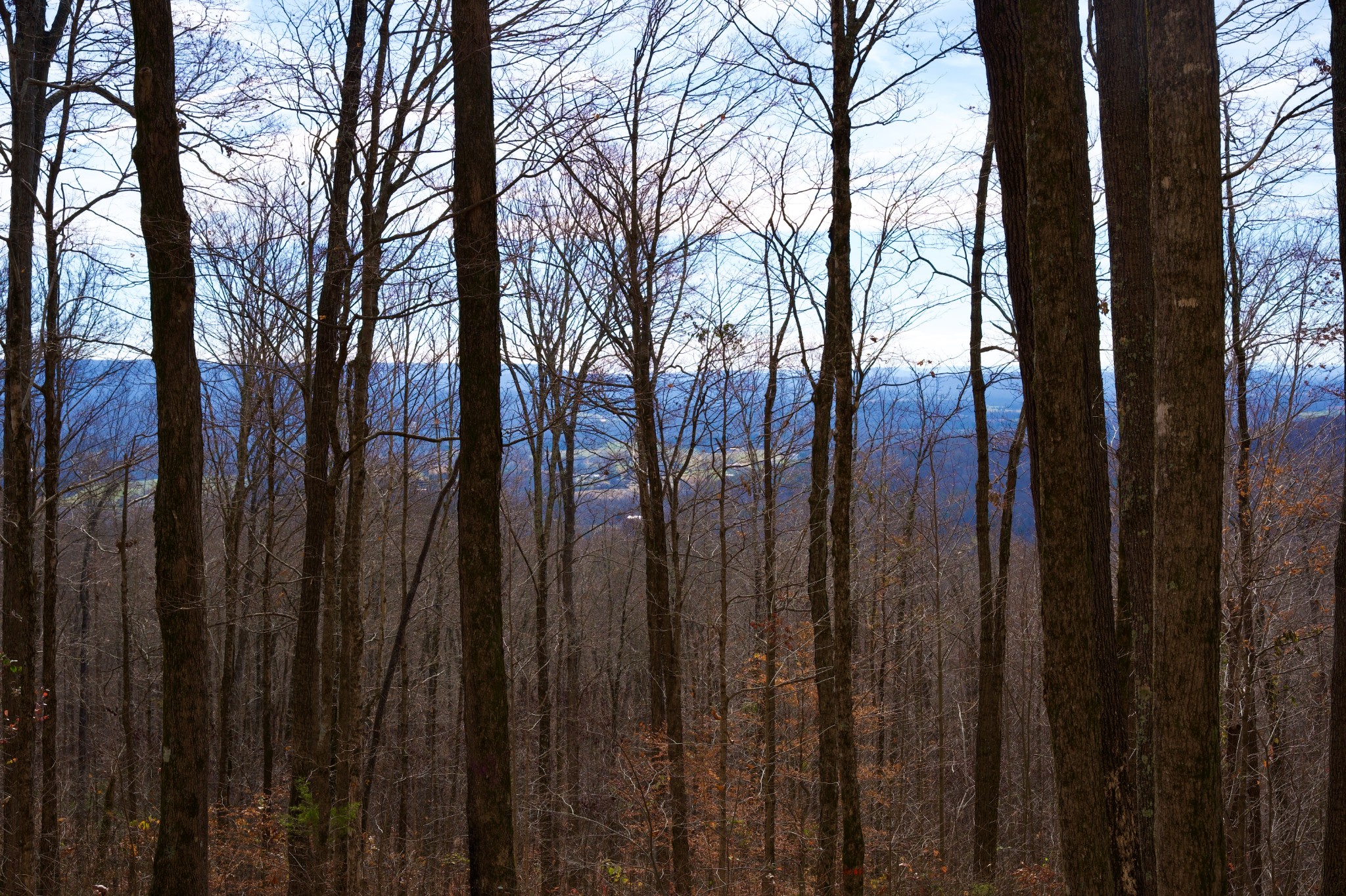 323 A White Oak Flatt Road Sparta, TN 38583 - Photo 26 of 45