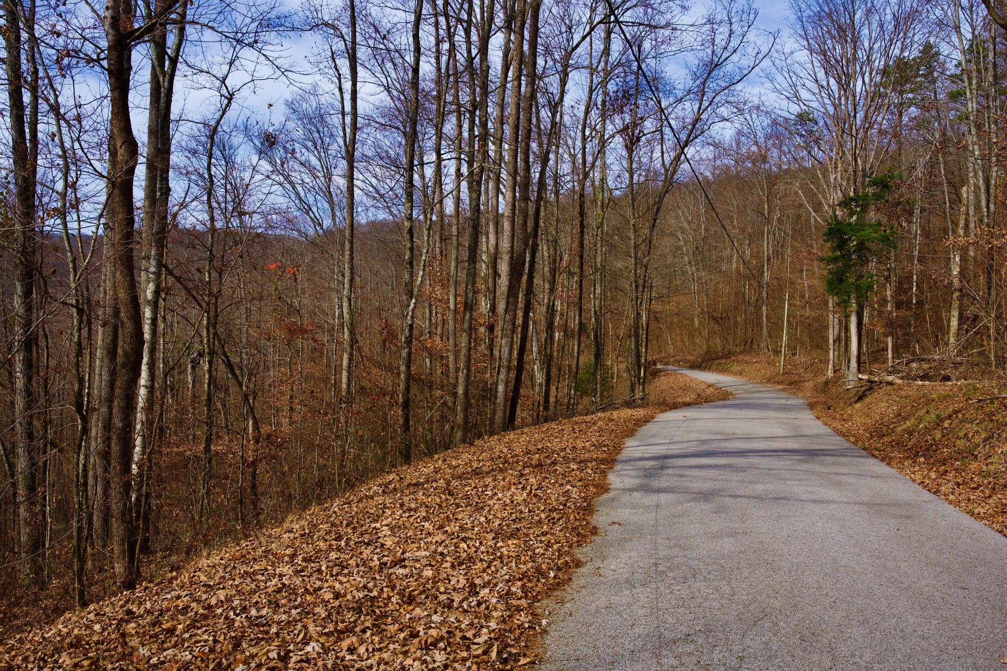 323 A White Oak Flatt Road Sparta, TN 38583 - Photo 27 of 45