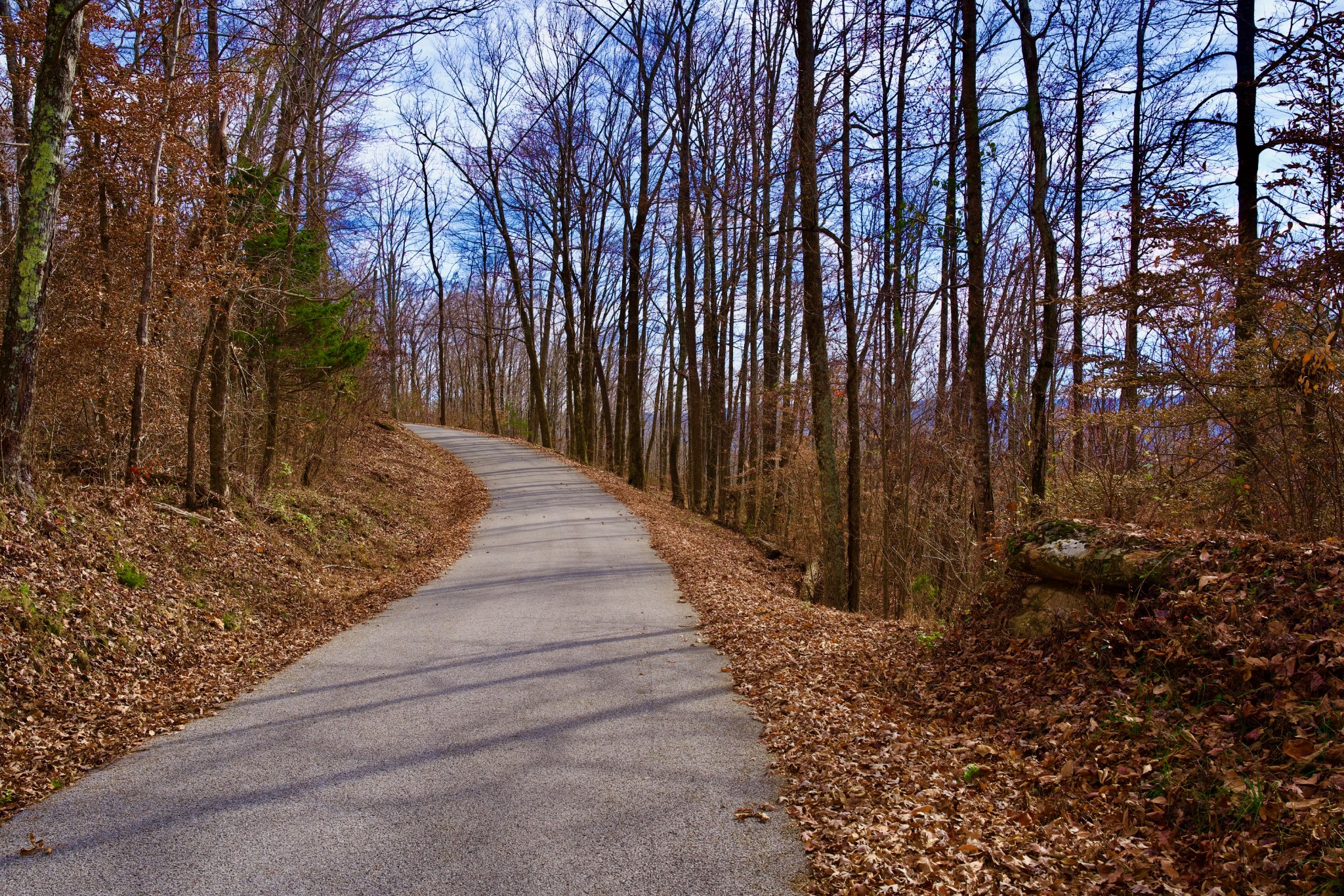 323 A White Oak Flatt Road Sparta, TN 38583 - Photo 28 of 45 a pathway of a yard