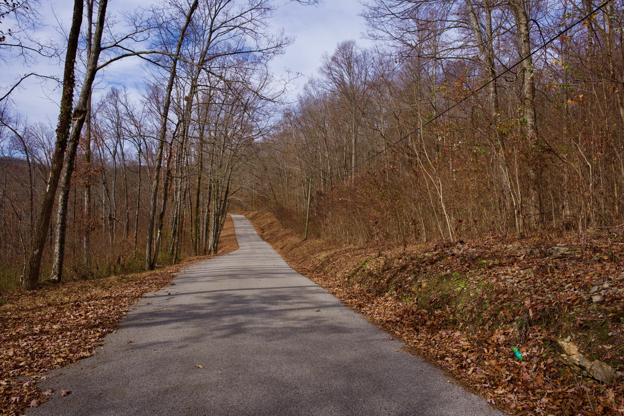 323 A White Oak Flatt Road Sparta, TN 38583 - Photo 29 of 45 a view of flowing water with large trees