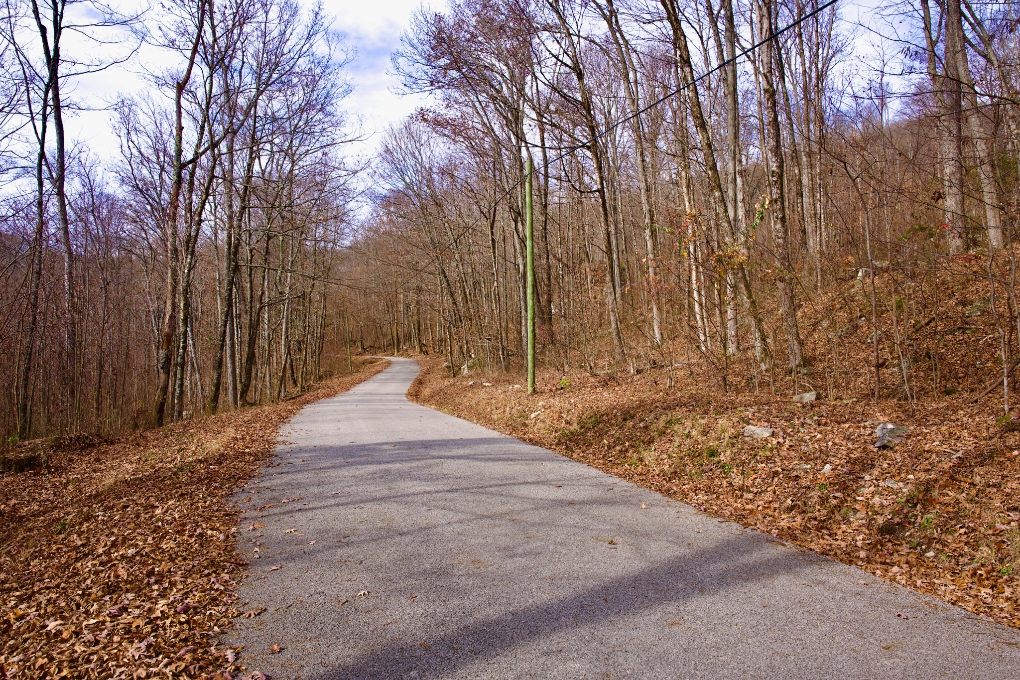 323 A White Oak Flatt Road Sparta, TN 38583 - Photo 30 of 45 a view of backyard with tall trees