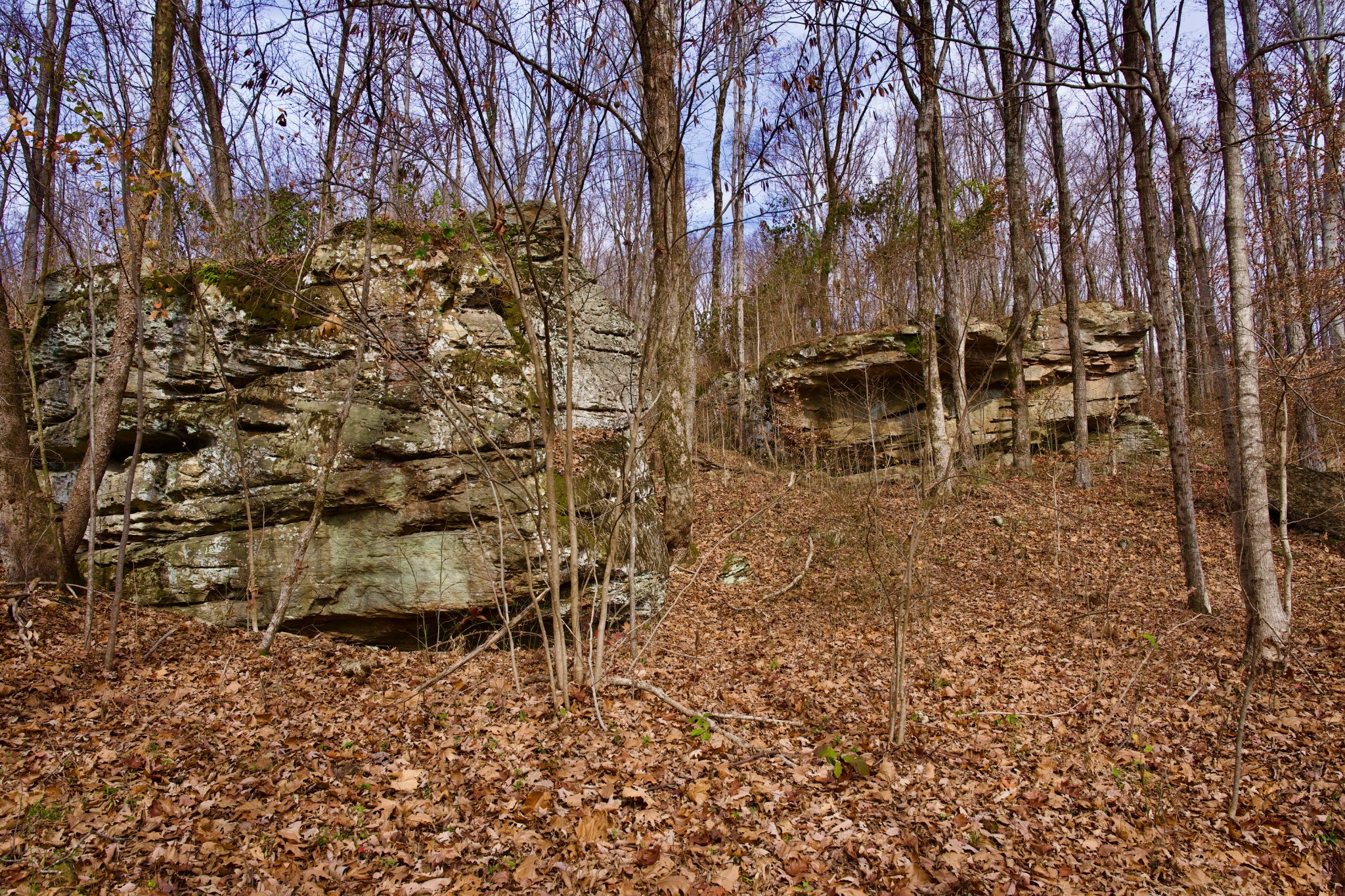 323 A White Oak Flatt Road Sparta, TN 38583 - Photo 31 of 45 a view of outdoor space