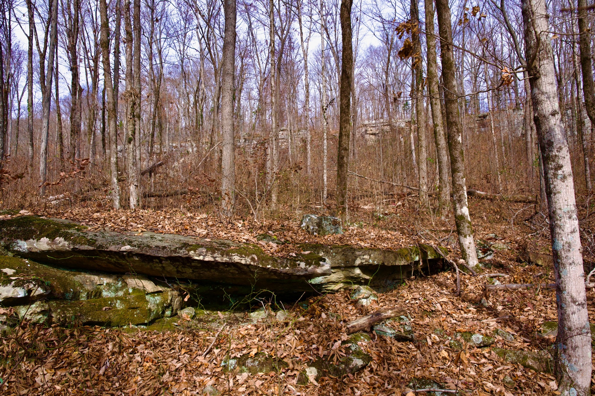 323 A White Oak Flatt Road Sparta, TN 38583 - Photo 34 of 45 a view of lake
