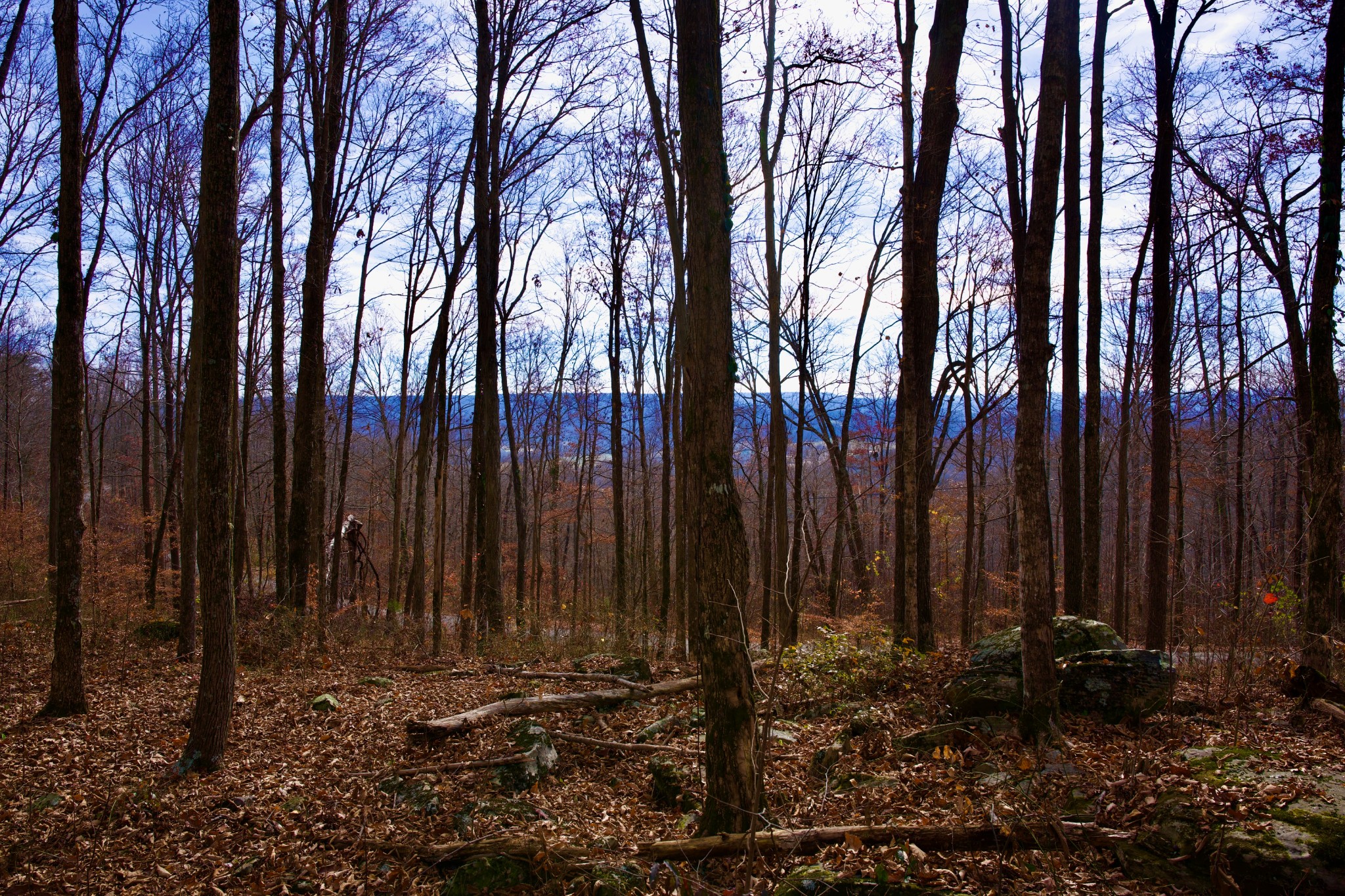 323 A White Oak Flatt Road Sparta, TN 38583 - Photo 35 of 45 a view of a backyard of the house