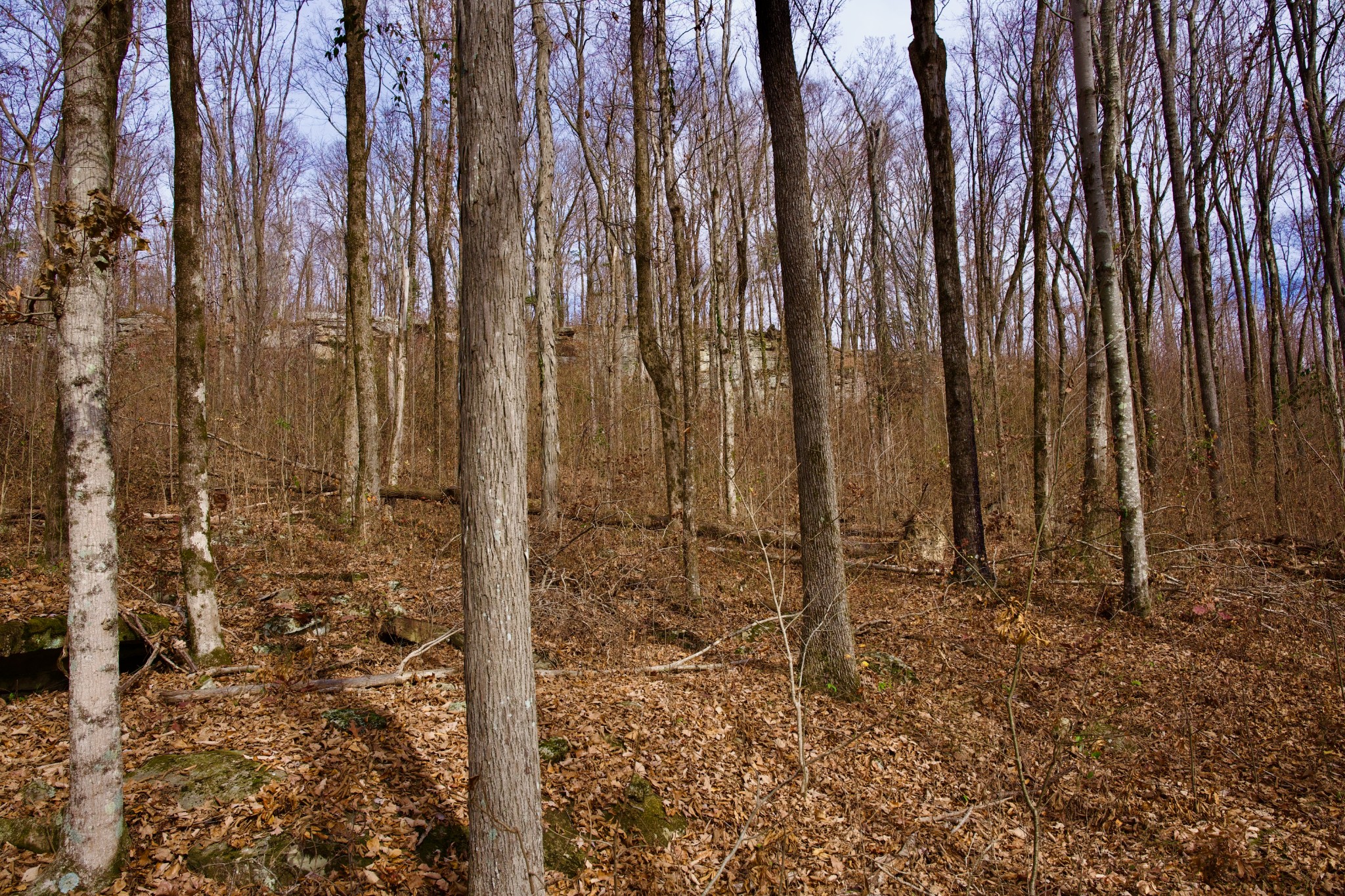 323 A White Oak Flatt Road Sparta, TN 38583 - Photo 37 of 45