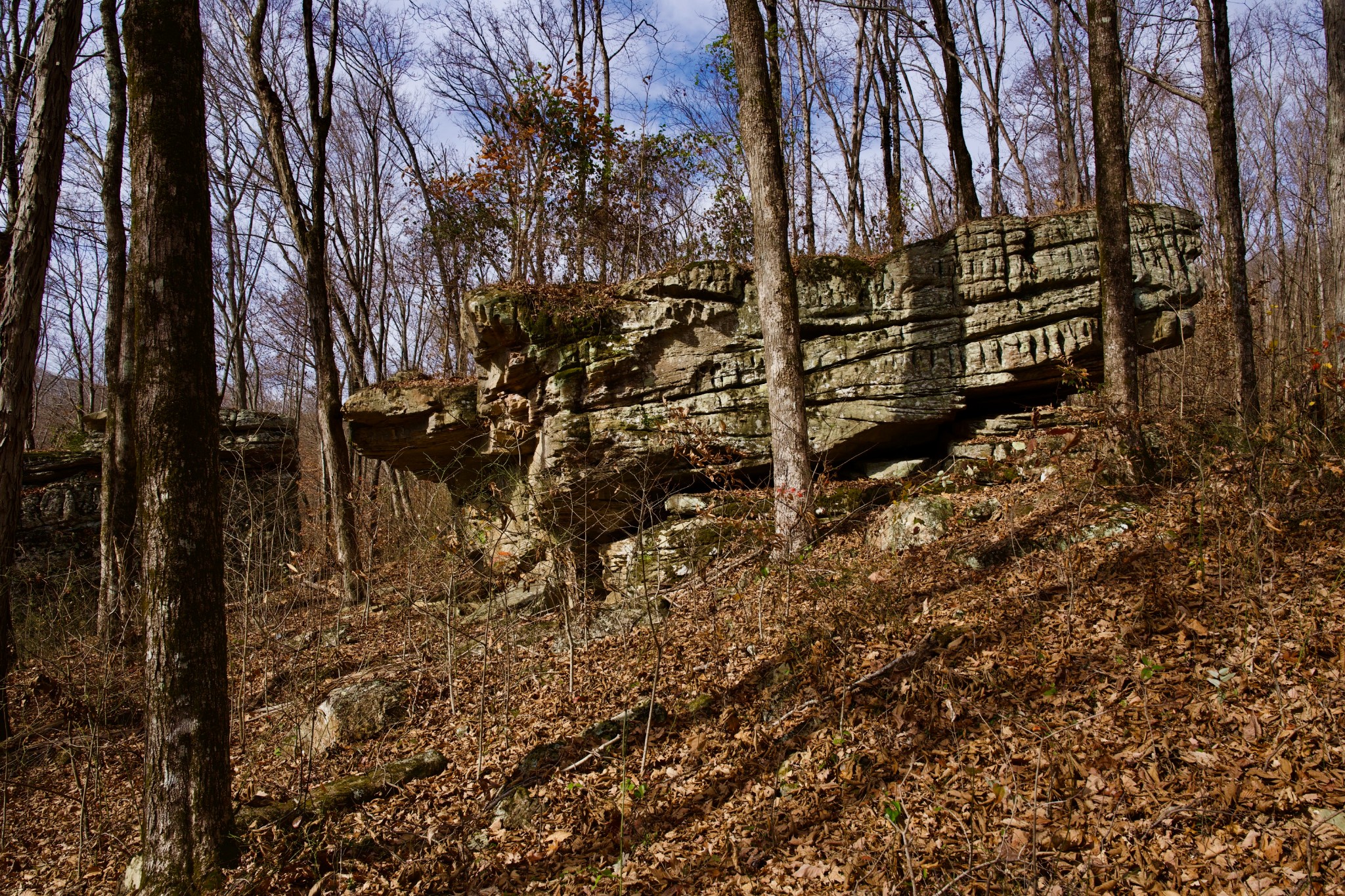 323 A White Oak Flatt Road Sparta, TN 38583 - Photo 38 of 45 a view of pathway