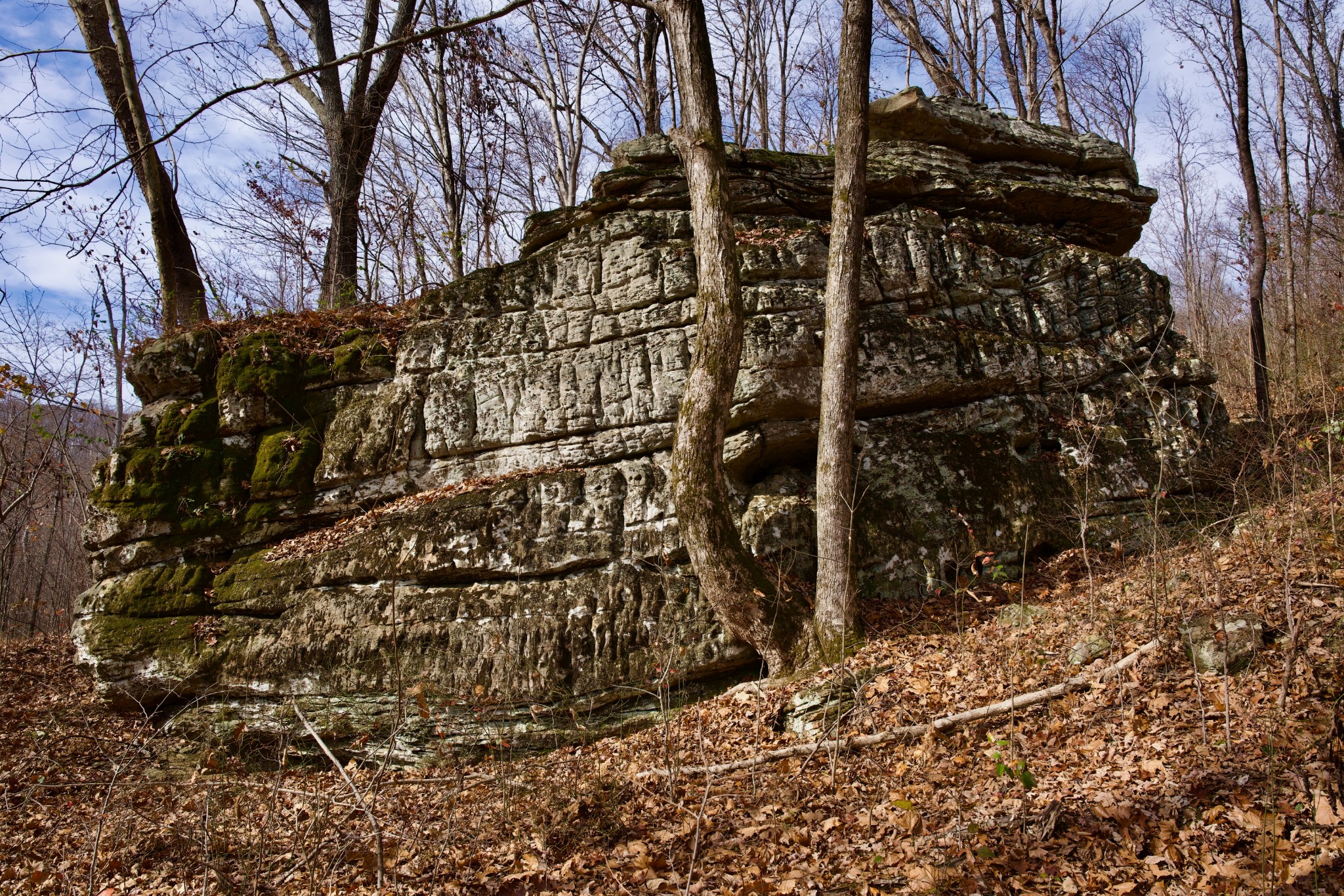 323 A White Oak Flatt Road Sparta, TN 38583 - Photo 39 of 45 a view of a pathway