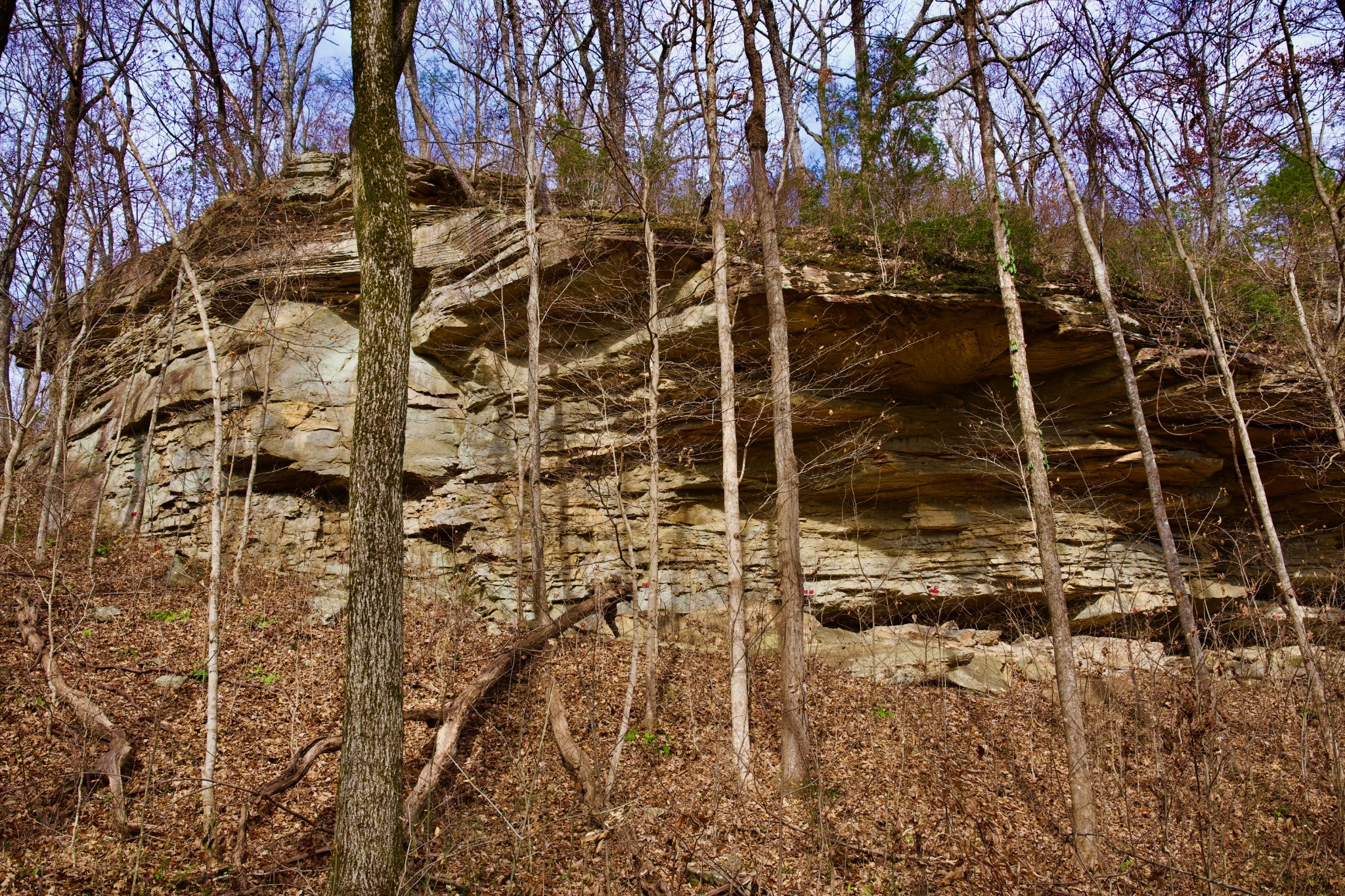 323 A White Oak Flatt Road Sparta, TN 38583 - Photo 44 of 45 a bathroom with a shower
