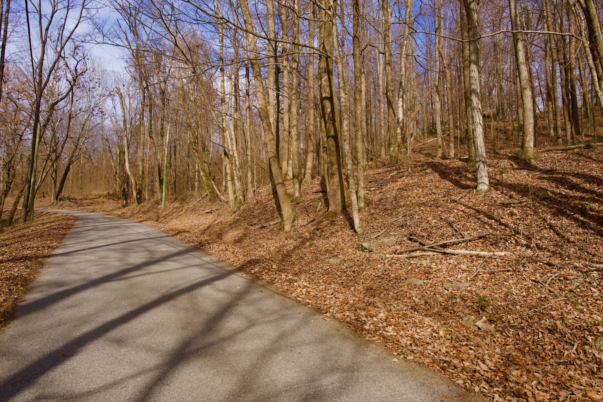 323 A White Oak Flatt Road Sparta, TN 38583 - Photo 9 of 45 a view of wooden fence and trees